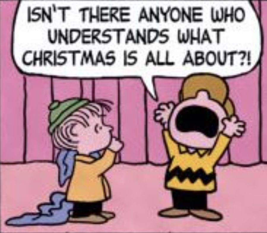 Charlie+Brown+expresses+his+frustration+to+Linus+that+Christmas+lost+its+true+meaning.