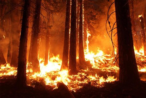 Wildfires blaze in Oregon 