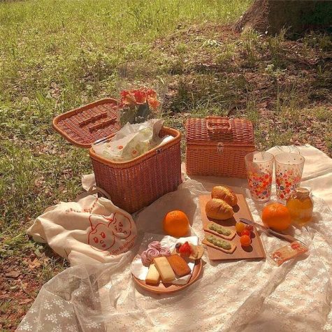 A picnic is a great date option!