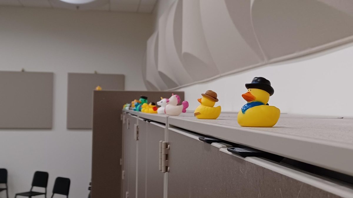 The growing rubber duck collection in the choir room, started in March of 2023.