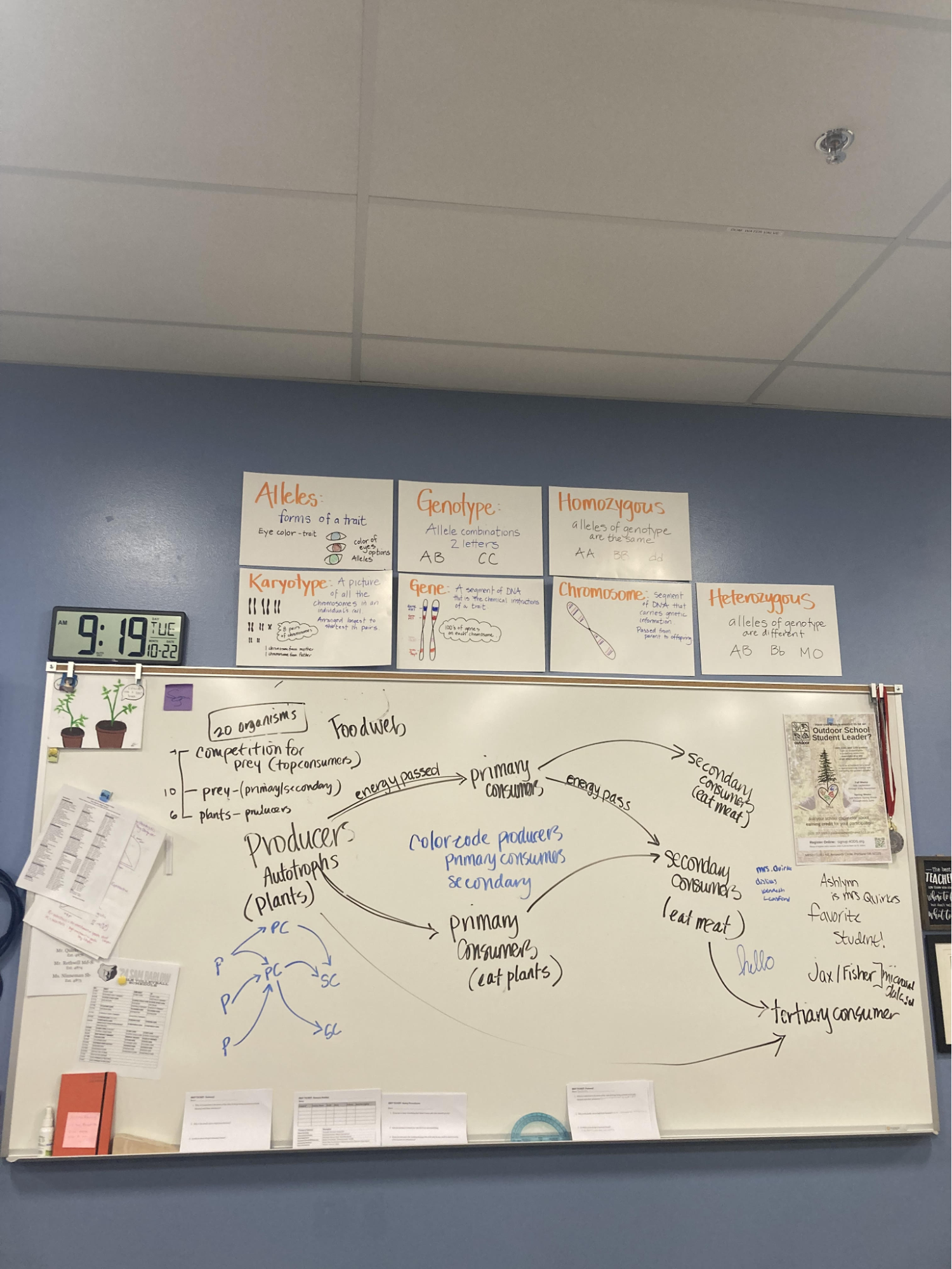 Mrs. Quirke's biology class food web presentation in room 402.