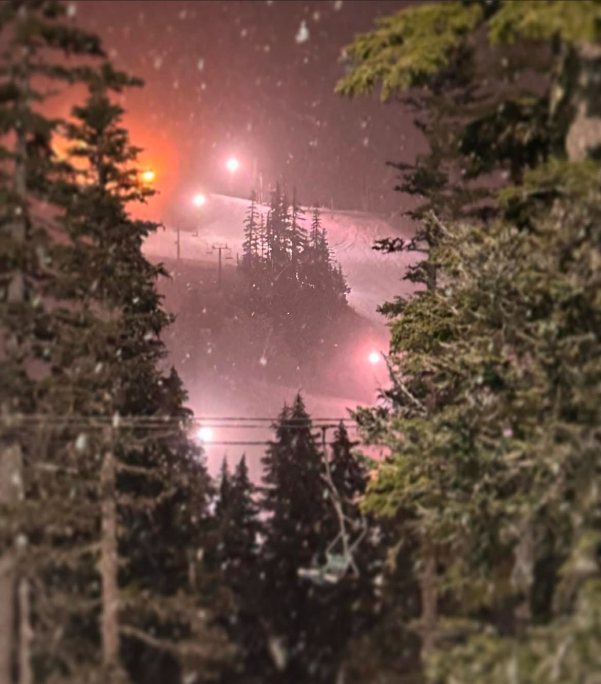 Ski Club goes up to Mount Hood to practice on the slopes.