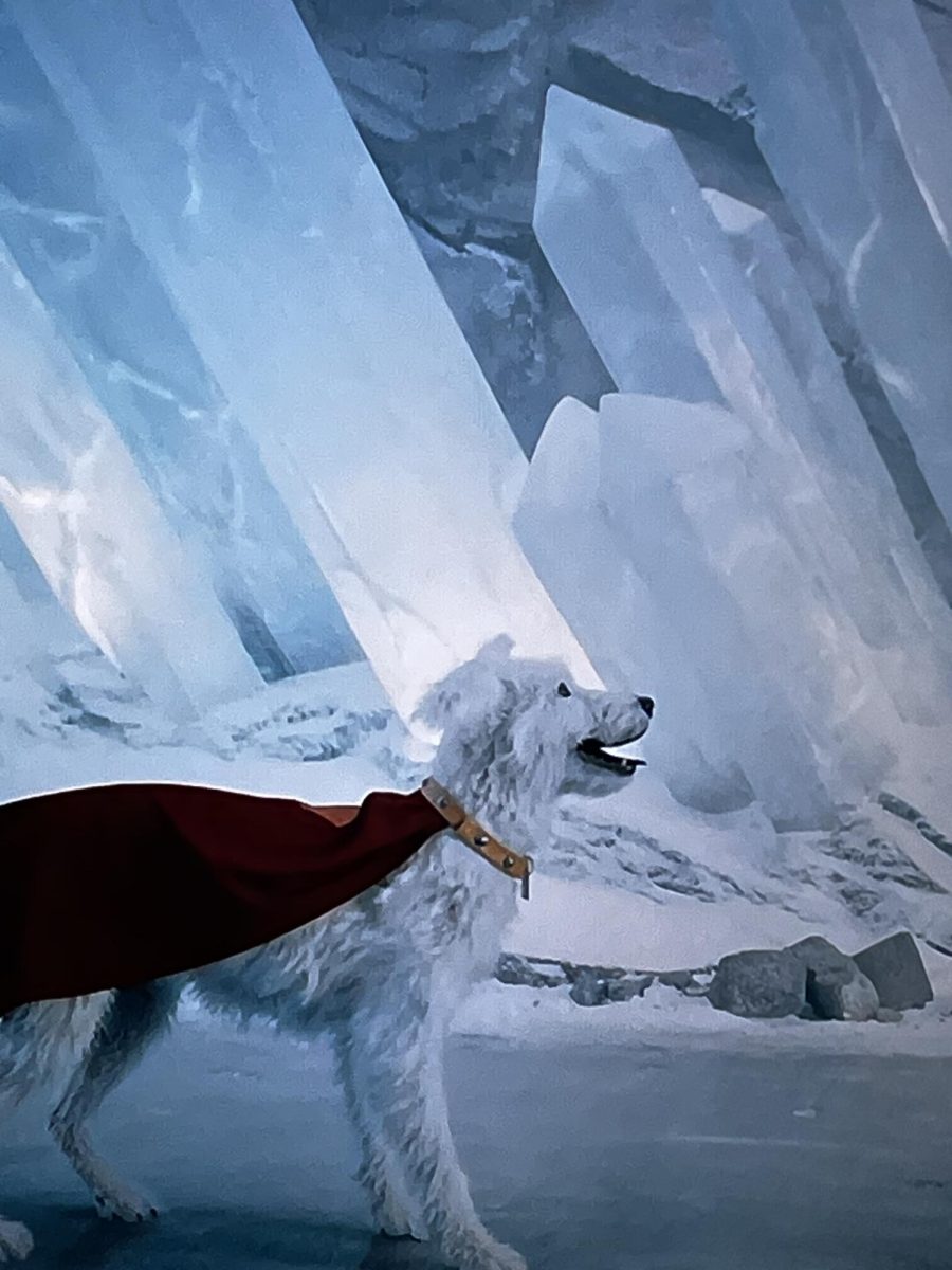 Krypto, Superman’s newest companion, joins him in Superman 2025, now available to stream.
