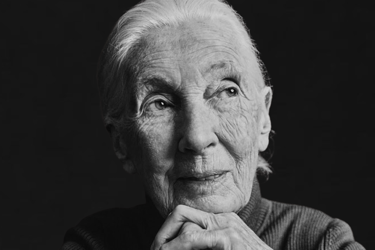 Dr. Jane Goodall, 2024