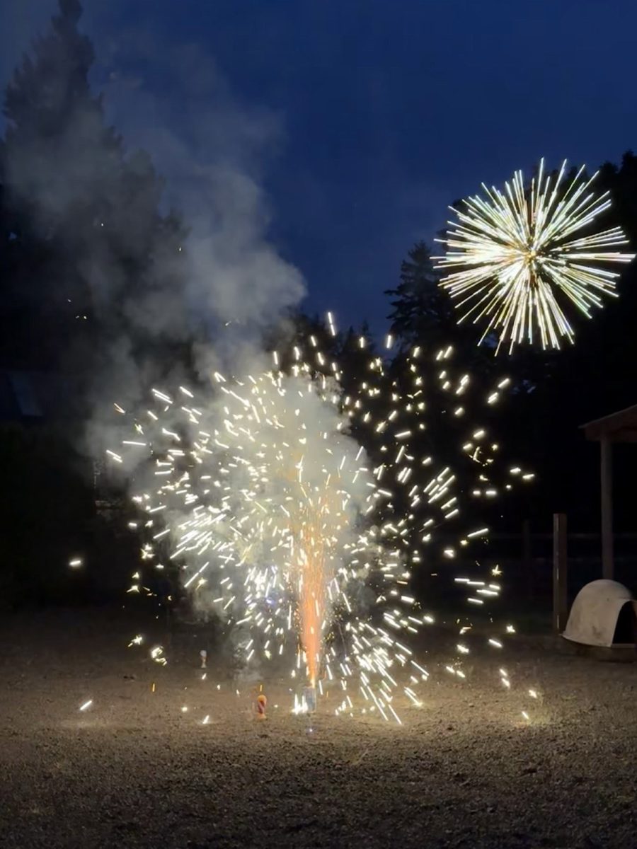 Lighting up the night with pure magic on New Years!