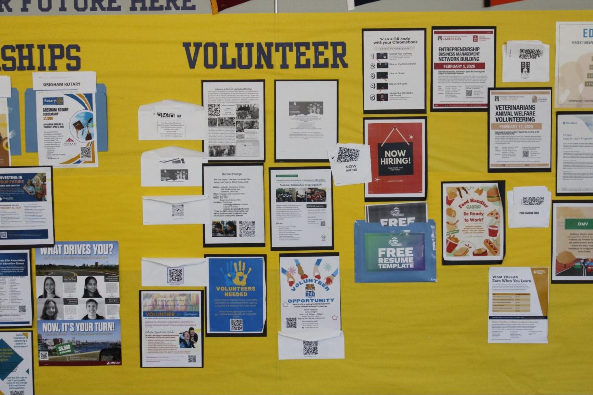 Volunteer Opportunities 