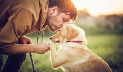The perfect display of a man's best friend captured in a special moment.