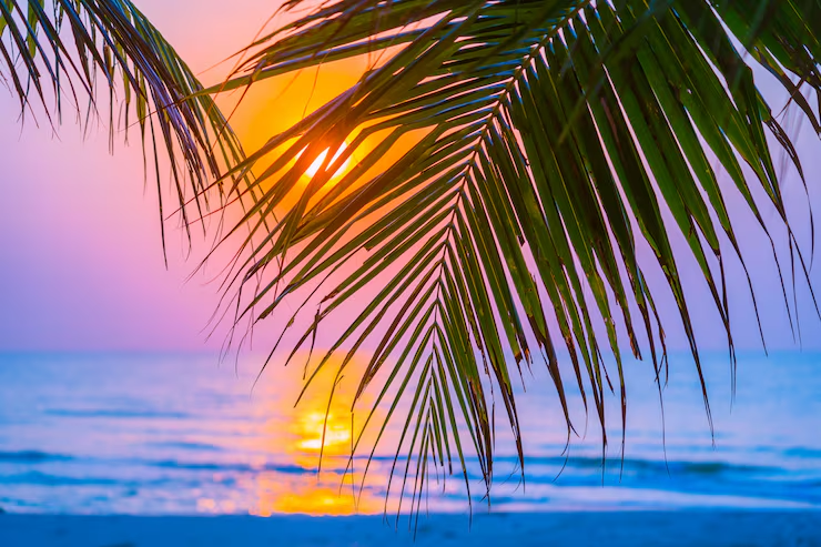 The majestic view of what our summer is going to be like.