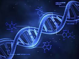 Researchers are continuing to make new advancements in gene therapy, photo of DNA.